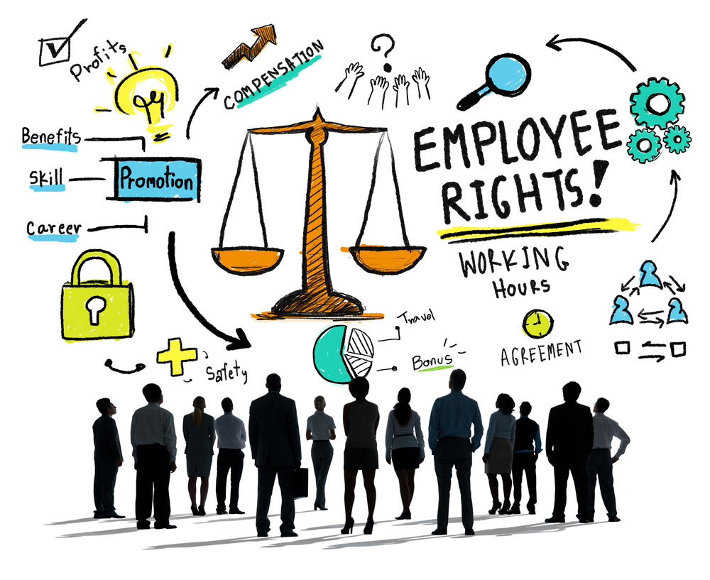 What Is Employment Law?