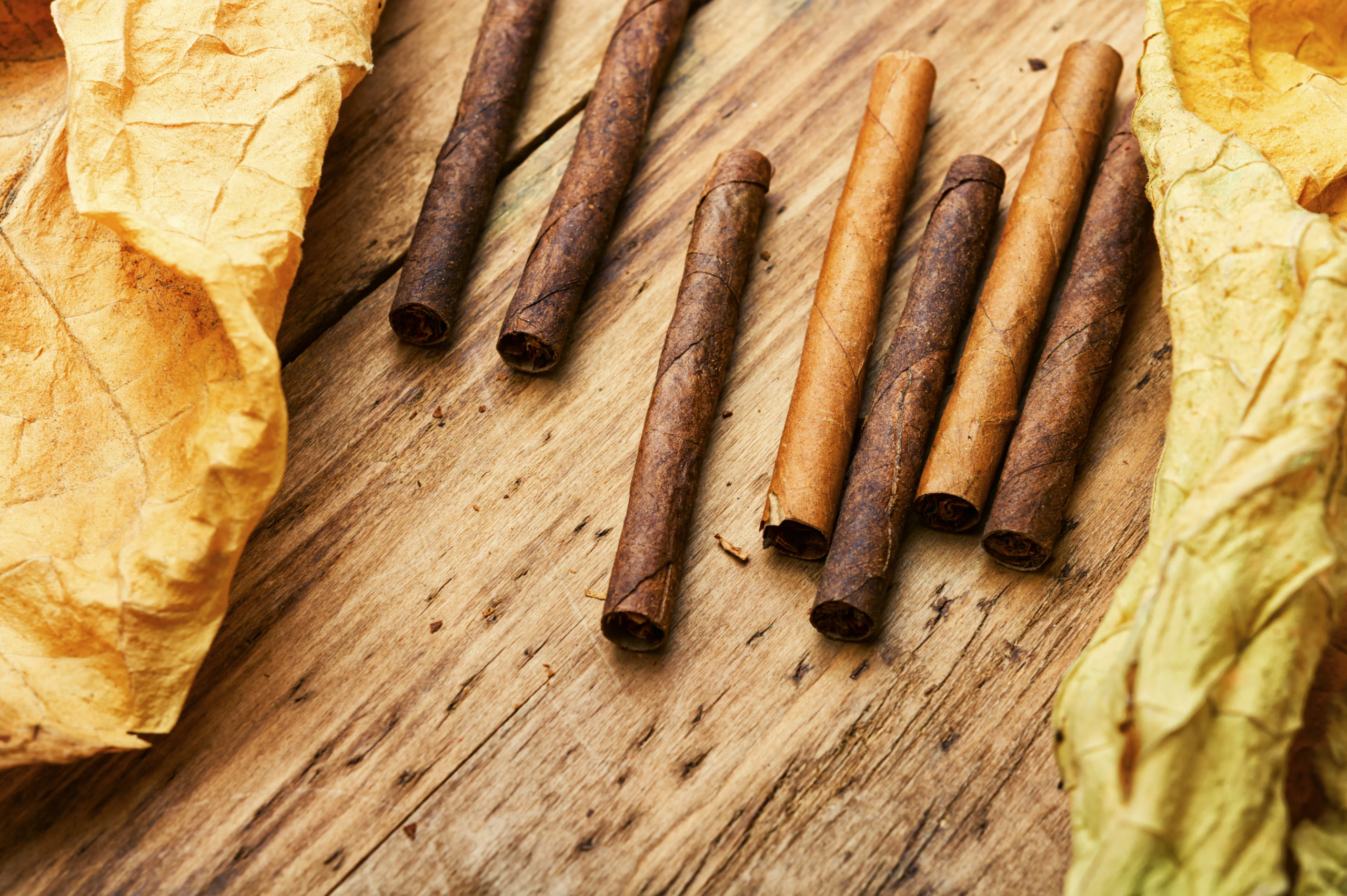 Why Top Tobacco Companies Should Use Safe Pesticides and Herbicides