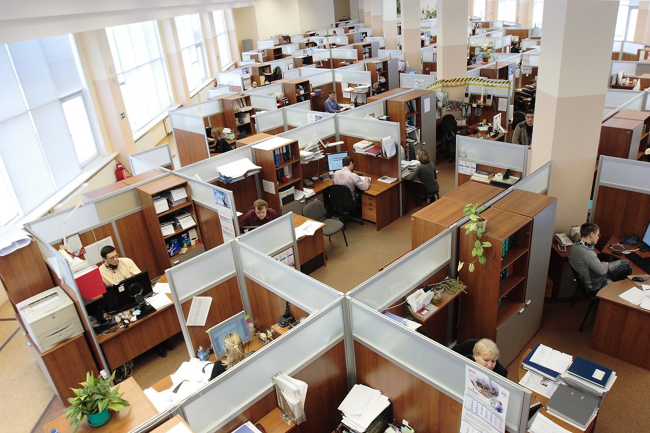 What Is Employment Law?