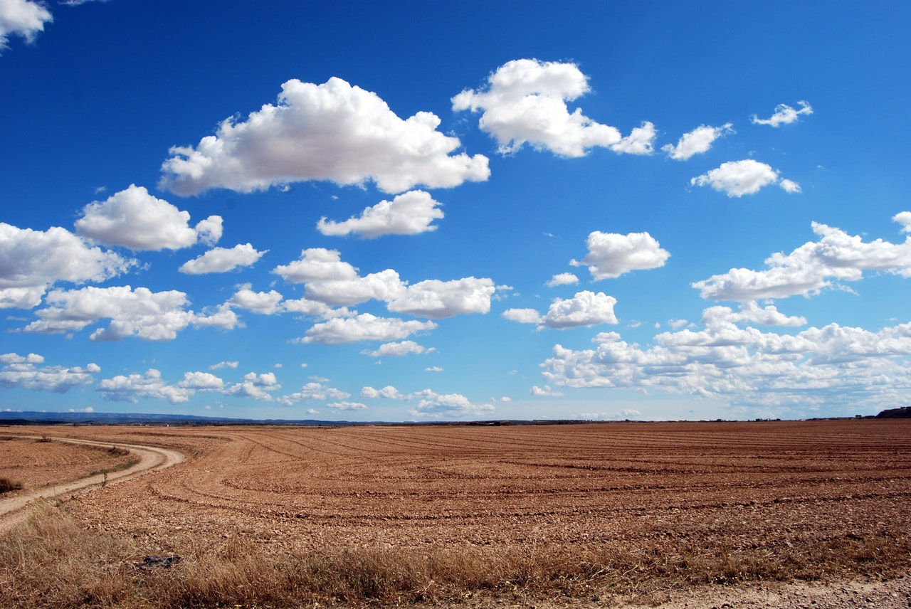 Everything You Should Check Before Buying Land