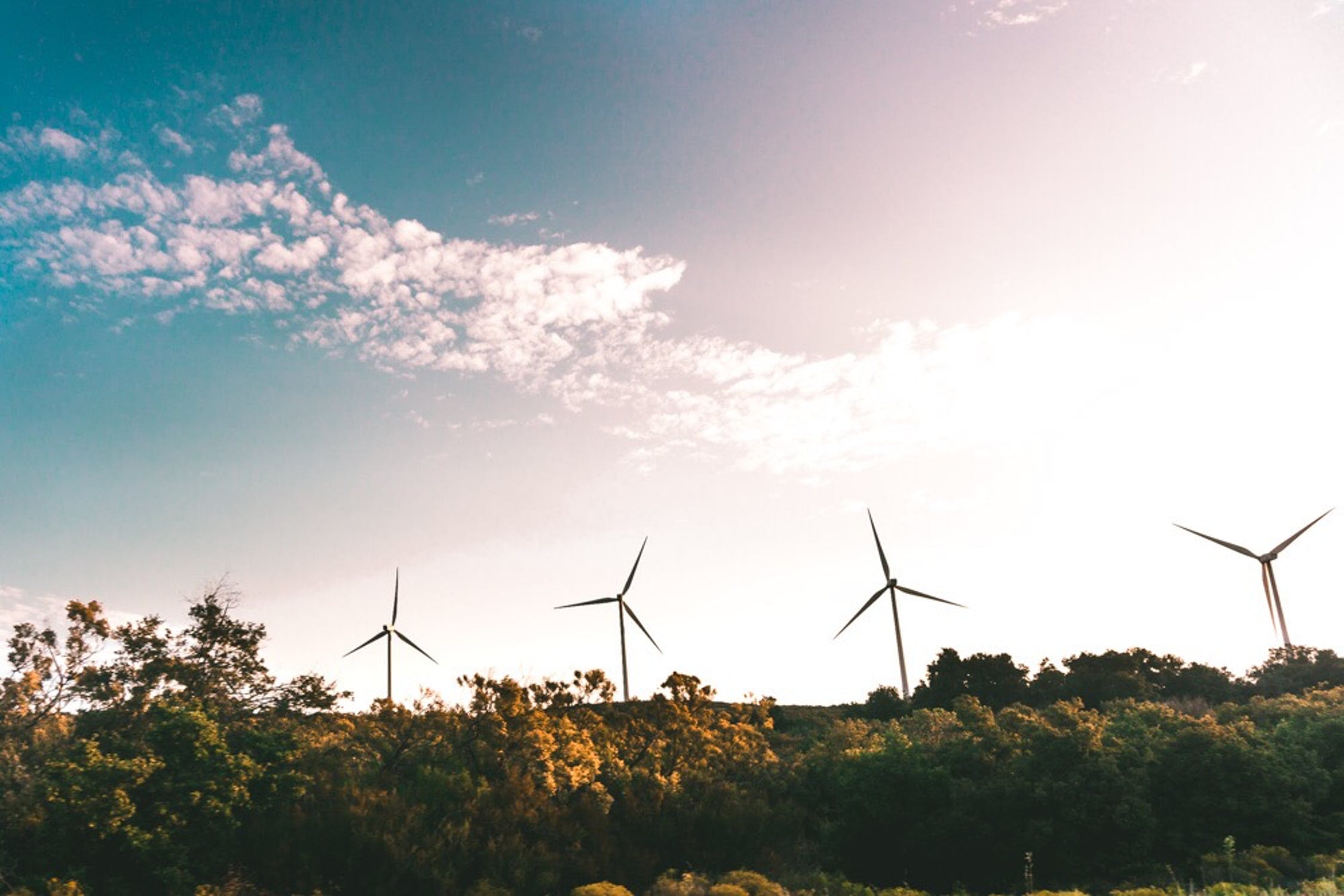 Sustainability + Your Business
